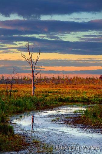 Jock River At Sunrise_08202.jpg - Photographed near Carleton Place, Ontario, Canada.